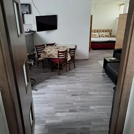 Pri Sokolovni Apartment Martin