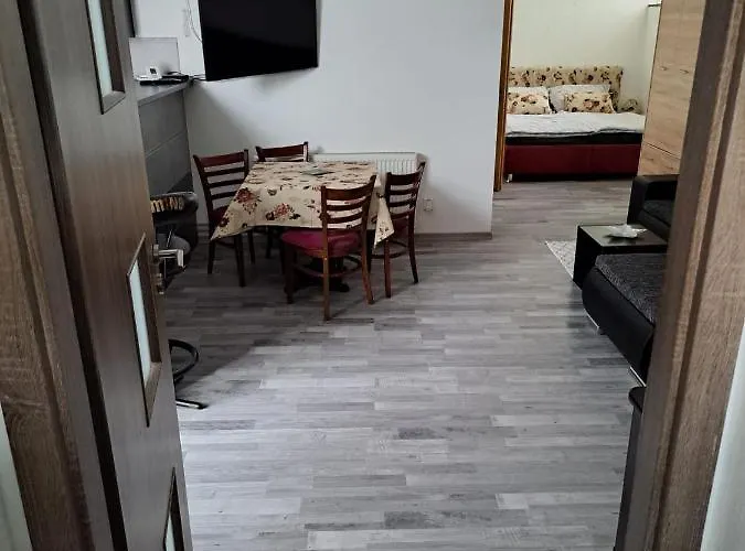 Pri Sokolovni Appartamento Martin